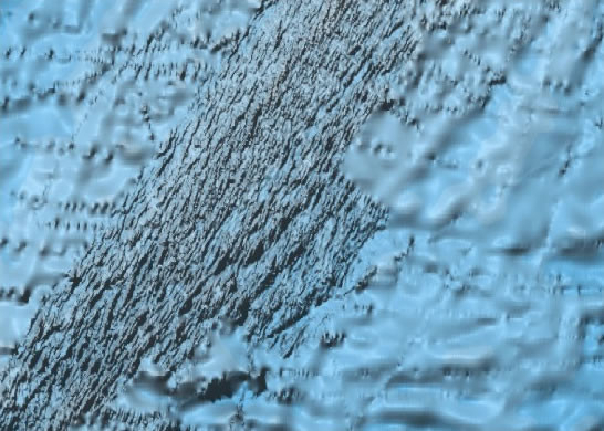 Bathymetric model showing the location of a detailed bathymetric survey